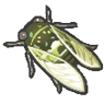 Green Cicada (YW1)