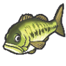 Black bass icon1.png