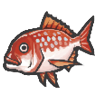 Red snapper icon1.png