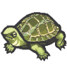 Turtle (YW1)