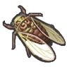 Evening Cicada (YW1)